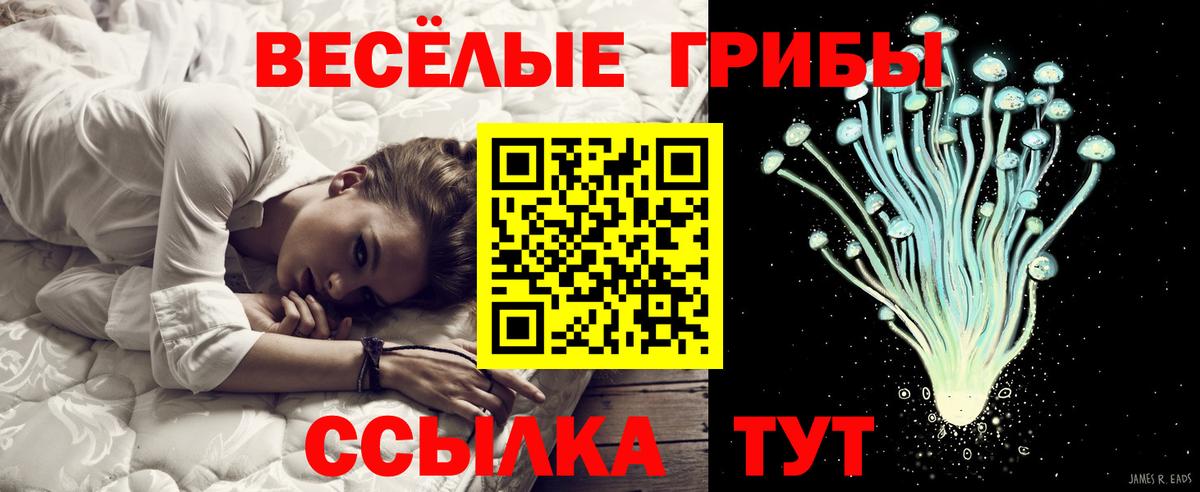 Галлюциногенные грибы Psilocybine cubensis  Вход с VPN  Сургут  Псилоцибиновые грибы Cubensis 